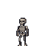 Skeleton